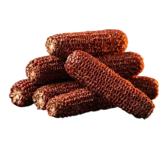 Coceni
